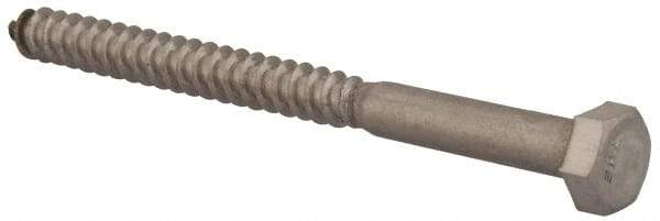 Value Collection - 5/16" Screw, 4" Length Under Head, Stainless Steel, Hex Head Lag Screw - Grade 18-8, Uncoated - A1 Tooling