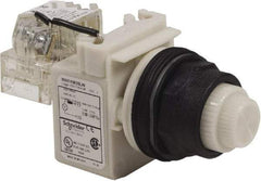 Schneider Electric - 120 V White Lens LED Press-to-Test Indicating Light - Round Lens, Screw Clamp Connector, Corrosion Resistant, Dust Resistant, Oil Resistant - A1 Tooling