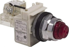 Schneider Electric - 120 VAC Red Lens LED Pilot Light - Round Lens, Screw Clamp Connector - A1 Tooling