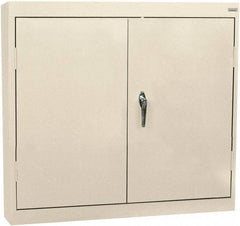 Sandusky Lee - 2 Shelf Wall Storage Cabinet - Steel, 30" Wide x 12" Deep x 30" High, Putty - A1 Tooling