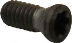 Walter - Screw for Indexable Tools - F4042 Series - A1 Tooling