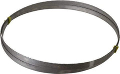 Starrett - 8 to 12 TPI, 11' Long x 3/4" Wide x 0.035" Thick, Welded Band Saw Blade - Bi-Metal, Toothed Edge, Raker Tooth Set, Contour Cutting - A1 Tooling