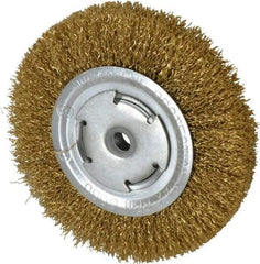 Value Collection - 6" OD, 5/8" Arbor Hole, Crimped Brass Wheel Brush - 1/2" Face Width, 1-1/8" Trim Length, 0.02" Filament Diam, 6,000 RPM - A1 Tooling