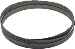 Lenox - 2 to 3 TPI, 11' 11" Long x 1-1/4" Wide x 0.042" Thick, Welded Band Saw Blade - A1 Tooling