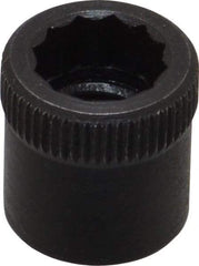 Holo-Krome - 5/16-24" Thread Uncoated Steel Allen Nut - 5/16" Diam, 5/16" Hex Key - A1 Tooling