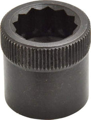 Holo-Krome - 3/4-10" Thread Uncoated Steel Allen Nut - 3/4" Diam, 3/4" Hex Key - A1 Tooling