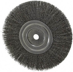 Weiler - 8" OD, 5/8" Arbor Hole, Crimped Steel Wheel Brush - 1/2" Face Width, 2-1/16" Trim Length, 0.0118" Filament Diam, 6,000 RPM - A1 Tooling