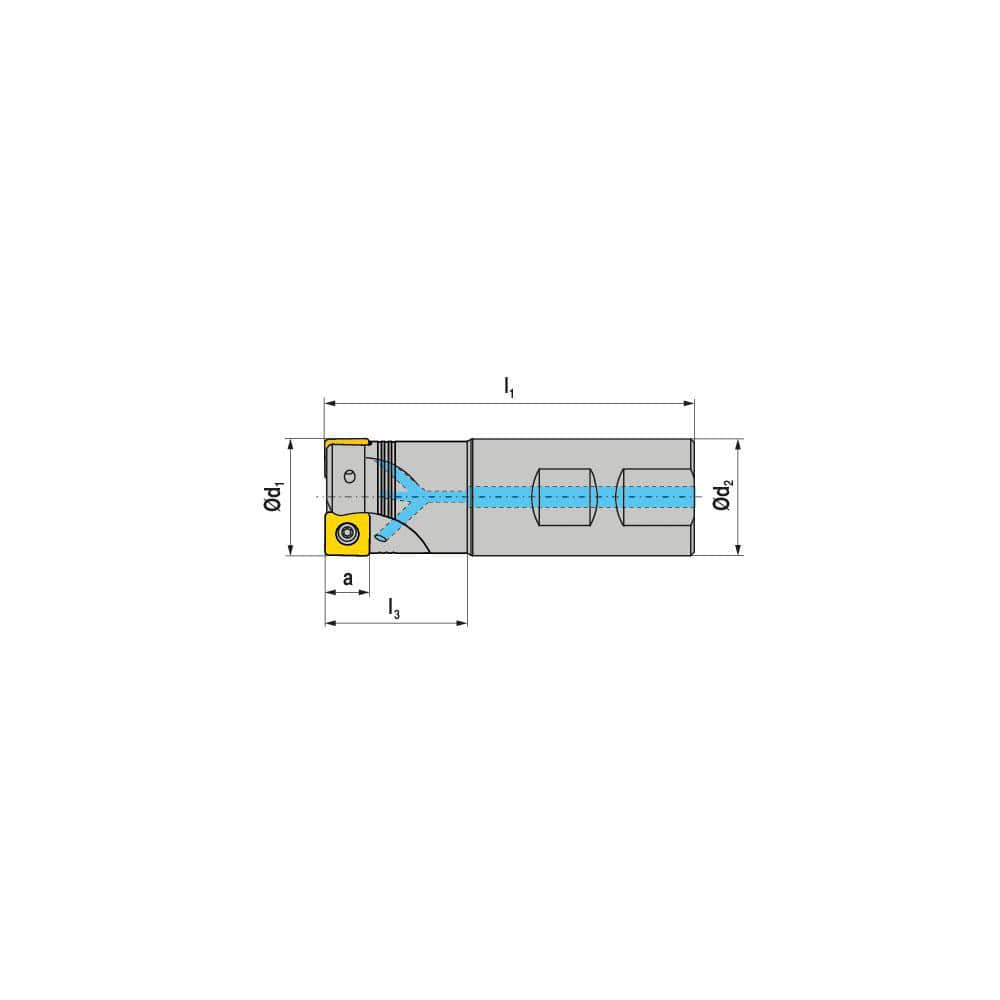 Indexable Square-Shoulder End Mill:  C491.125.R.0212B150EF,  1.2500'' Cut Dia,  0.3150'' Max Depth of Cut,  1.2500'' Shank Dia,  Weldon Flat Shank Uses  2,  Normal Pressure,