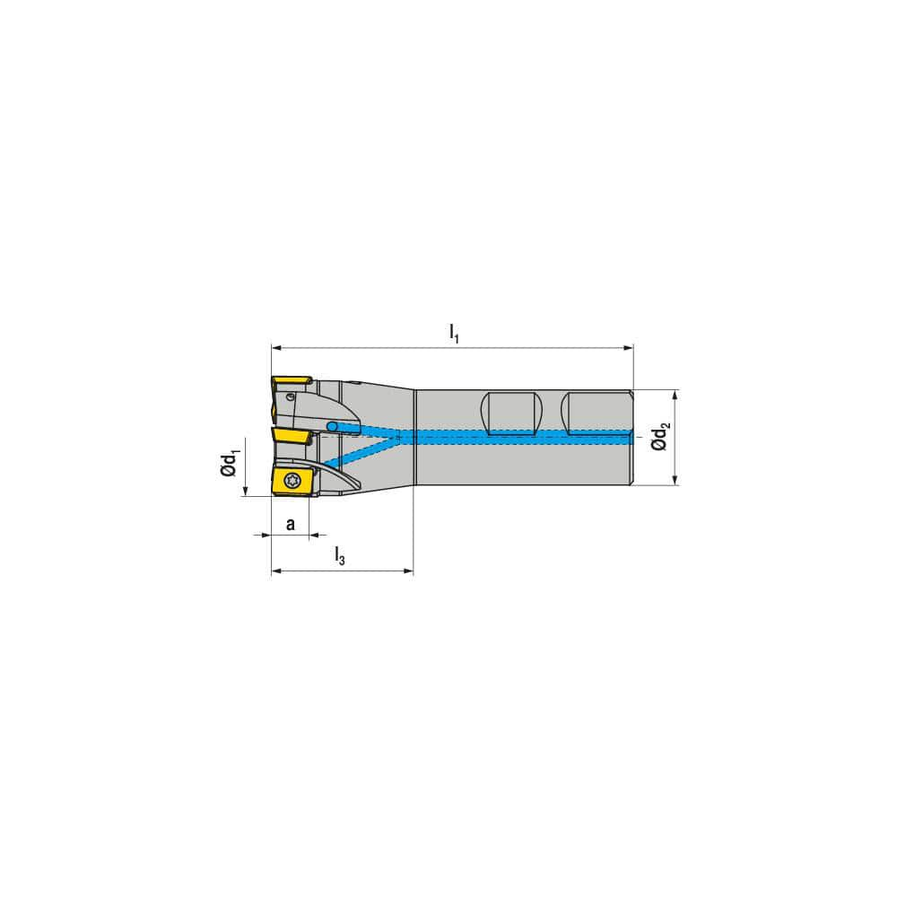 Indexable Square-Shoulder End Mill:  C210.32.R.05-10,  25.0000'' Shank Dia,  Weldon Flat Shank Uses  5,  Normal Pressure,  95.00 mm OAL