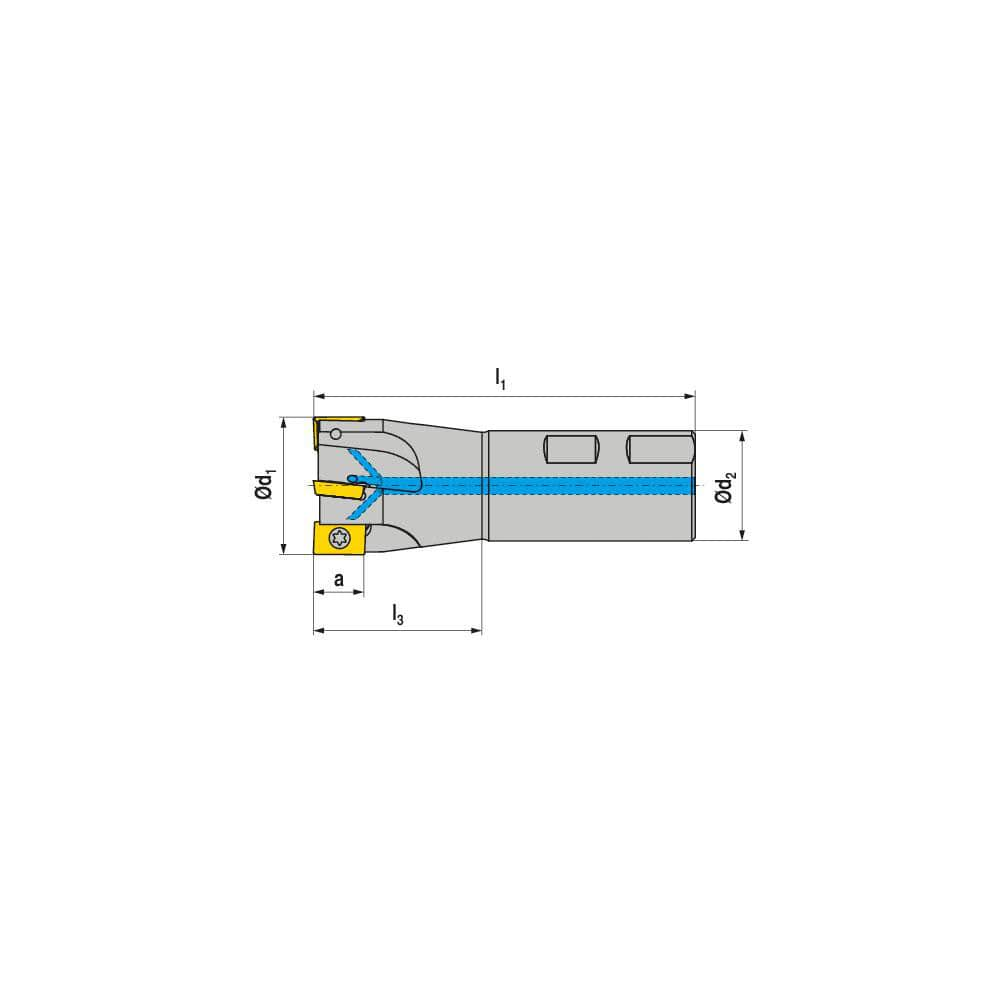 Indexable Square-Shoulder End Mill:  C141.20.R.01-15,  25.0000'' Shank Dia,  Weldon Flat Shank Uses  1,  Normal Pressure,  95.00 mm OAL