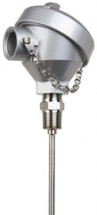 Thermo Electric - -148 to 900°F, 100 OMS Industrial RTD, Thermocouple Probe - 1/2 Inch Hex Mount, 12 Inch Probe Sheath Length, 10 Sec Response Time - A1 Tooling