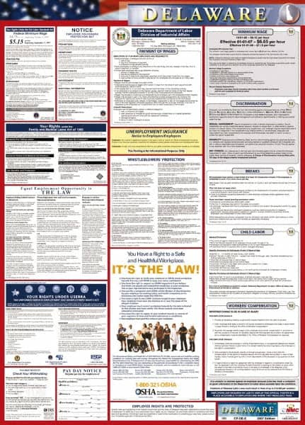 NMC - 24" Wide x 40" High Laminated Paper Labor Law Information Poster - Delaware Jurisdiction, 0.03" Thick, English - A1 Tooling