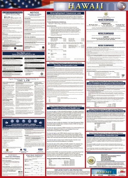 NMC - 24" Wide x 40" High Laminated Paper Labor Law Information Poster - Hawaii Jurisdiction, 0.03" Thick, English - A1 Tooling