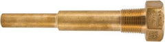 Winters - 6-3/4 Inch Overall Length, 3/4 Inch Thread, Brass Thermowell - 5 Inch Insertion Length - A1 Tooling