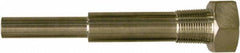 Winters - 6-3/4 Inch Overall Length, 3/4 Inch Thread, 304 Stainless Steel Thermowell - 5 Inch Insertion Length - A1 Tooling