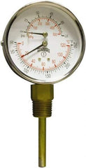 Winters - 3" Dial, 1/2 Thread, 0-75 Scale Range, Pressure Gauge - Lower Connection Mount, Accurate to 0.03% of Scale - A1 Tooling