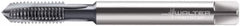 Walter-Prototyp - M4.5x0.75 Metric, 3 Flute, Bright Finish, Powdered Metal Spiral Point Tap - Plug Chamfer, Right Hand Thread, 70mm OAL, 13mm Thread Length, 6mm Shank Diam, 6HX Class of Fit, Series 202161 - Exact Industrial Supply