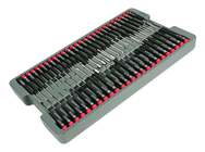 51PC PRECISION DRIVERS TRAY SET - A1 Tooling