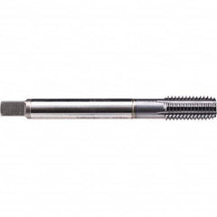 Emuge - Thread Forming STI Taps Thread Size (Inch): 1/2-13 Class of Fit: 2B - A1 Tooling