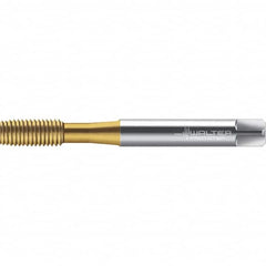 Walter-Prototyp - M3.5x0.60 DIN 2174 6GX 3.240 Thread Limit Semi-Bottoming Thread Forming Tap - Powdered Metal High Speed Steel, TiN Finish, 57.64mm OAL, 6.5mm Thread Length, Right Hand Thread, Series TC420 - A1 Tooling