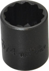 Proto - 3/4", 3/8" Drive, Standard Hand Socket - 12 Points, 1-3/16" OAL, Alloy Steel, Black Finish - A1 Tooling