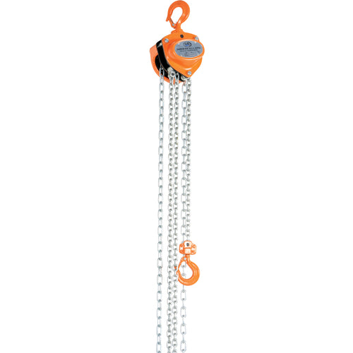 Manual Chain Hoist 1K Capacity 15 Ft - Exact Industrial Supply