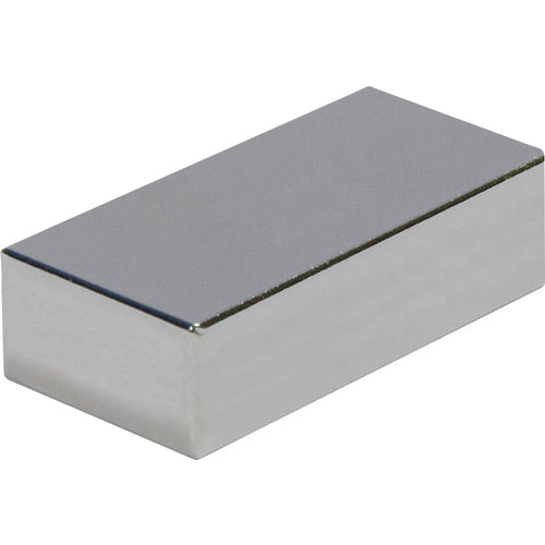 .12 x .50 × 1 Rectangular Rare Earth Magnet - A1 Tooling