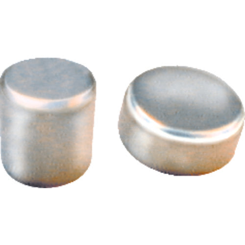 Nickel Plated Rare Earth Disc 0.75″ Diameter × 0.37″ Length, 42 MgO - A1 Tooling