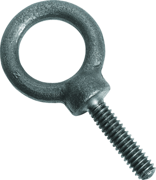 Protoå Forged Eye Bolt - 4" - A1 Tooling